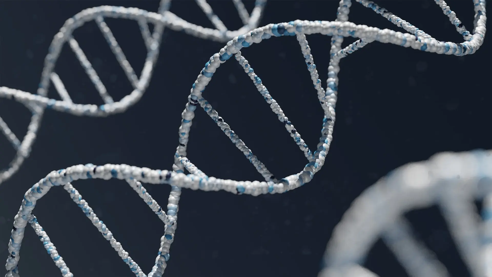 Modélisation 3D d'un brin d'ADN, celui qui va permettre à OURLY de vivre